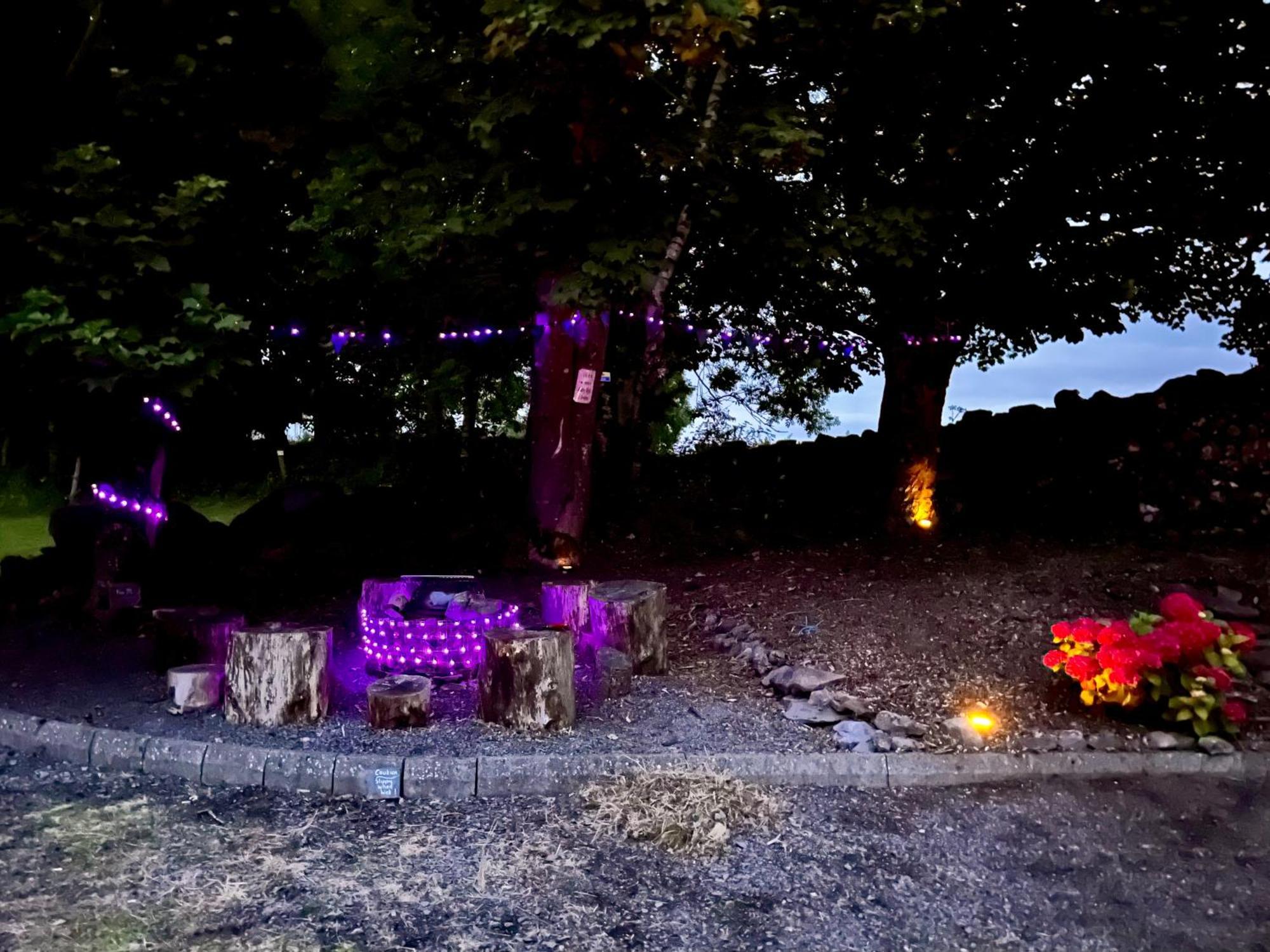 ווסטפורט Birch Tree Cottage מראה חיצוני תמונה